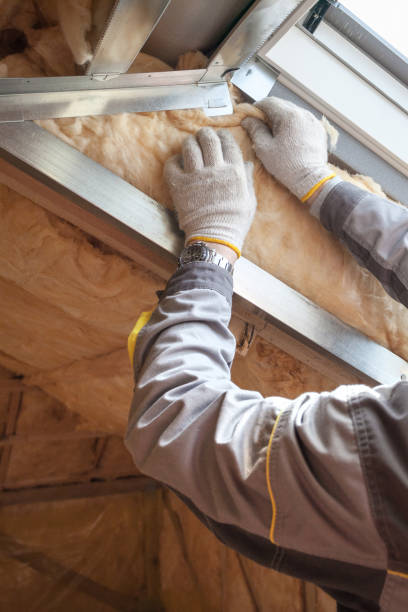 Best Basement Insulation  in Colchester, IL